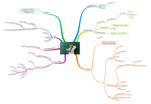 Mappa mentale pregiudizio